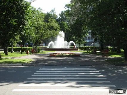 Площадь курчатова 1