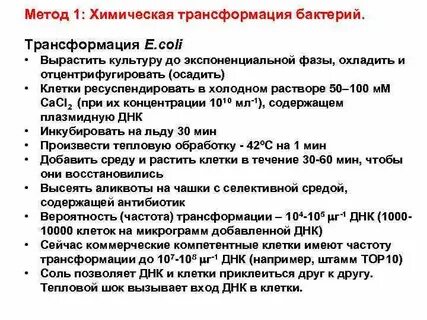 Эффективность трансформации