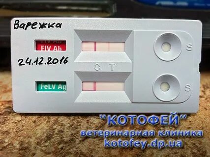 Экспресс тест на лейкоз