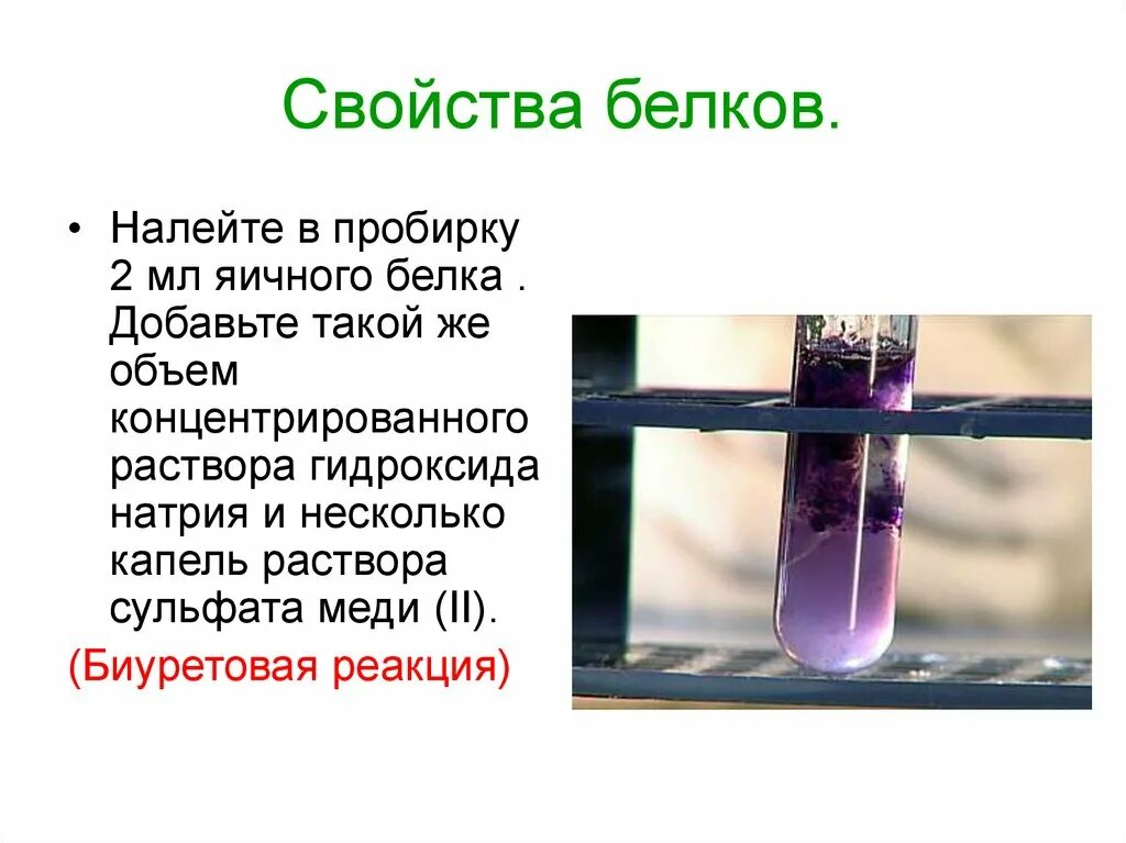 Сульфат свинца и гидроксид натрия. Биуретовая реакция в пробирке. Биуретовая реакция белков. Реакция белка с гидроксидом меди. Биуретовая реакция белков опыт.