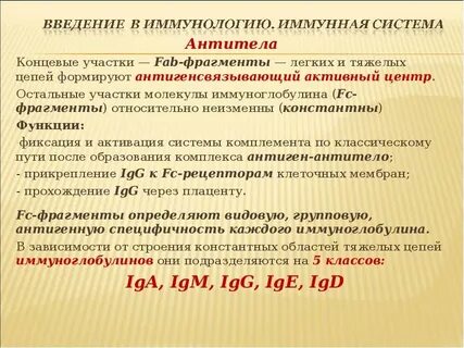 Функцию фиксации