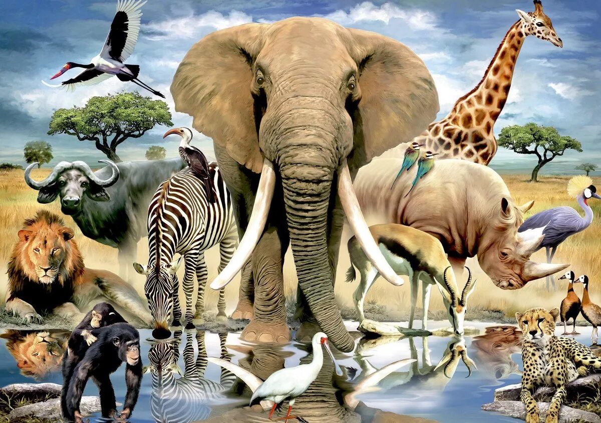 Жизнь животных в разное время. Животный мир. Африканские животные. Животный мир Африки.