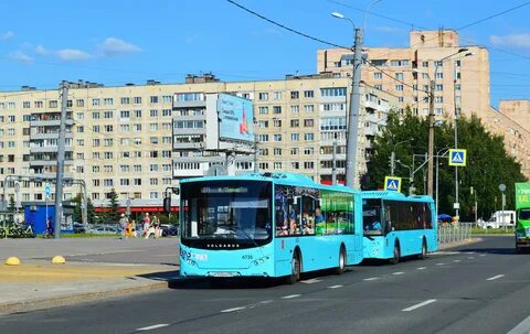 271 маршрут санкт петербург