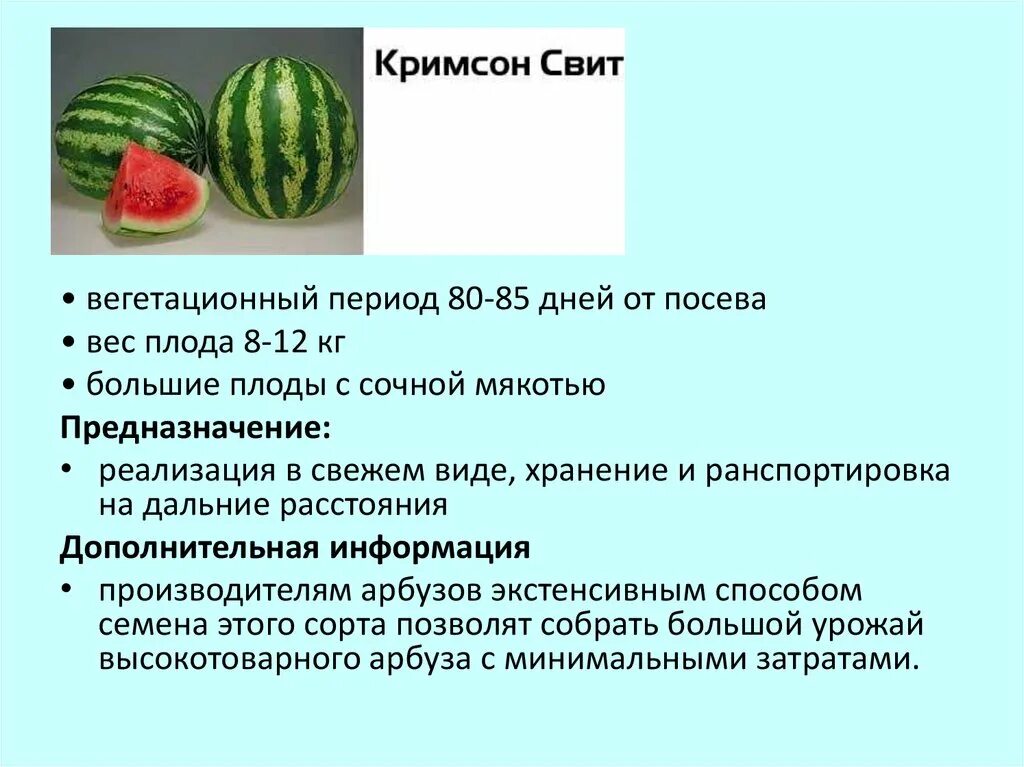 На каком расстоянии садить арбузы