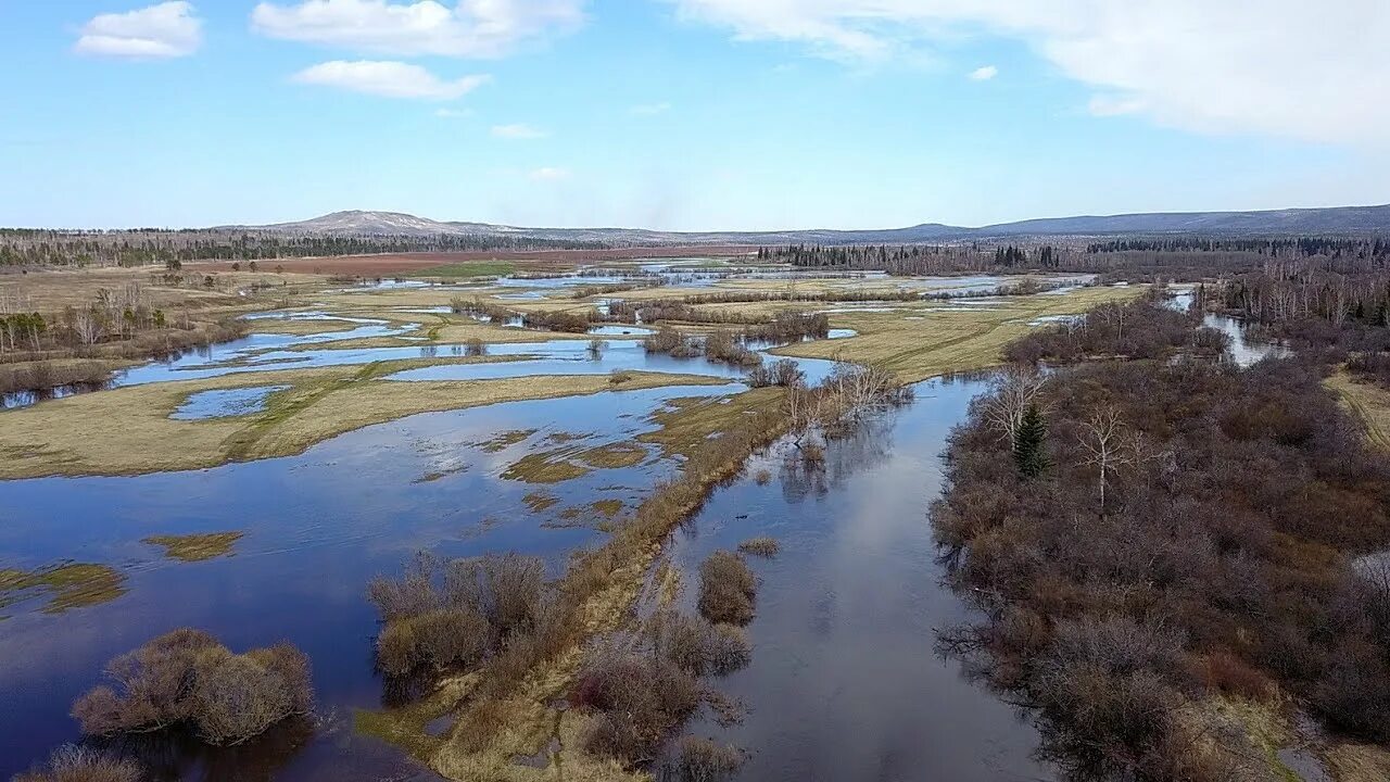 Река Кузнецовка Москва. Село Кузнецовка Братский район. Село Кузнецовка Братский район Иркутская область. Река Кузнецовка Орехово Борисово.