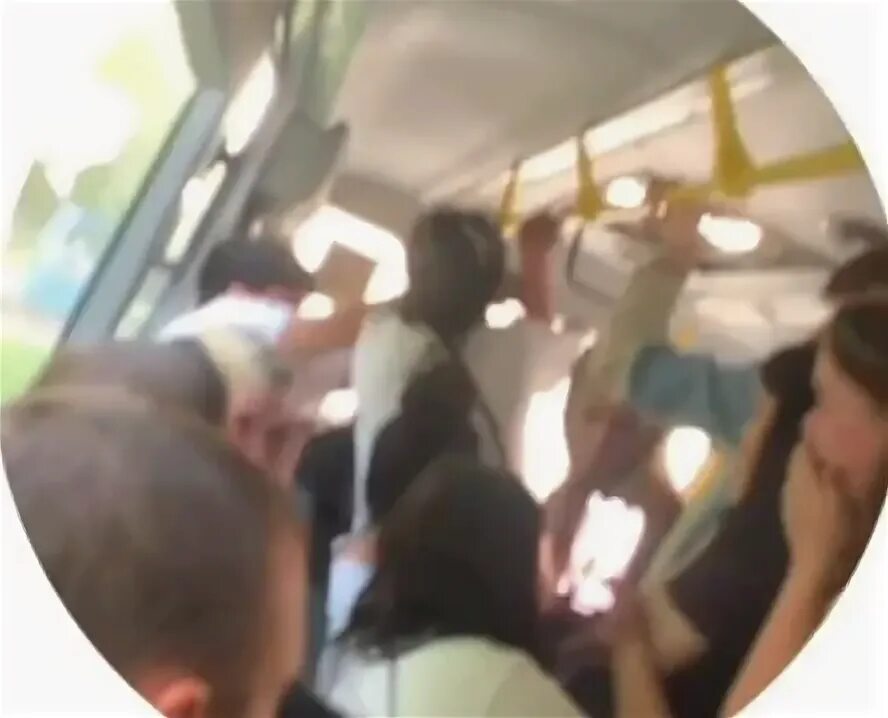 Драка девушек автобусе. Драка девушек автобусе