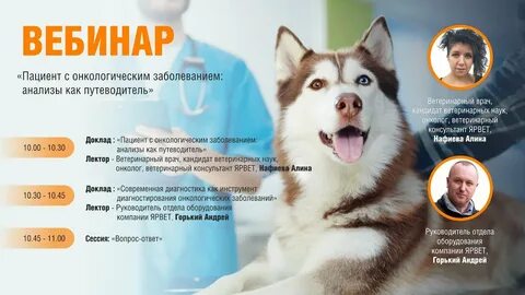 Сайт ярвета