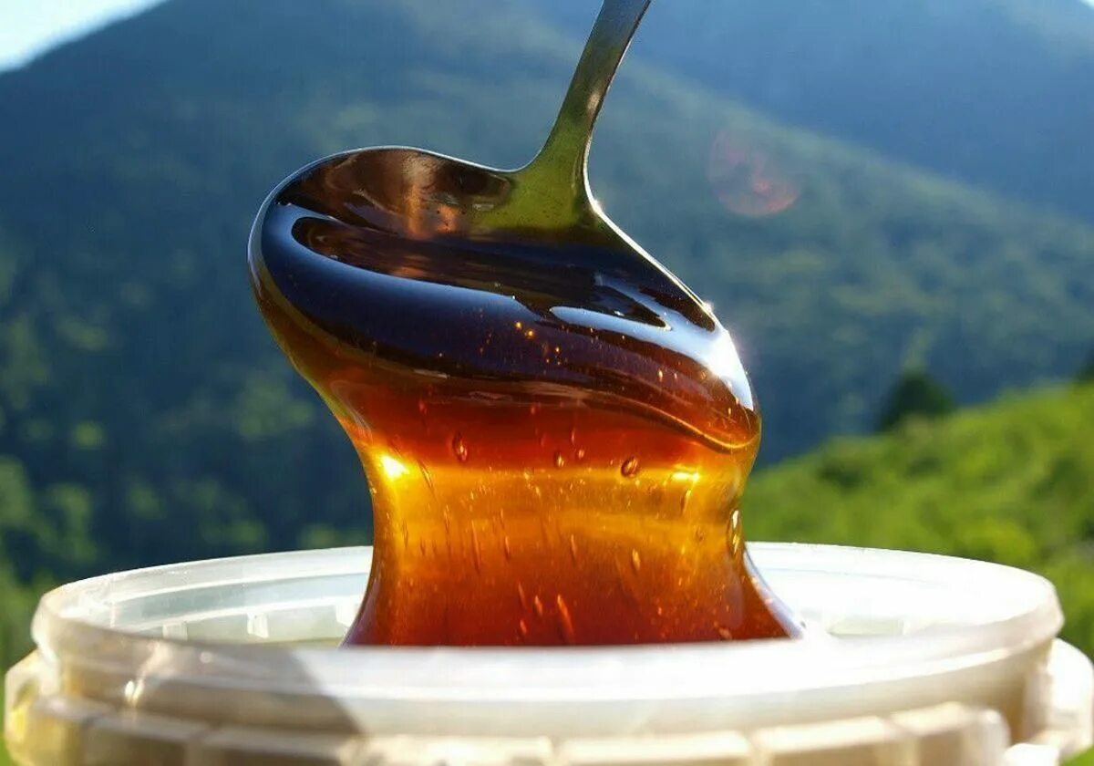 Алтайский гречишный мед. Горный Алтайский мёд. Мед дягилевый горный Алтай. Темный Алтайский дягилевый мед. Мед минеральные воды