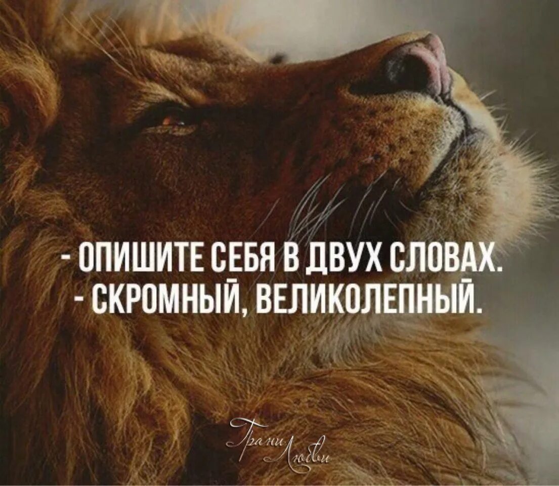 Каждый должен быть величествен. Каждый должен платить за свою глупость. В каждом прикосновении нежность в каждом толчке. Высказывания ленина о капитализме. Каждый должен быть величествен.