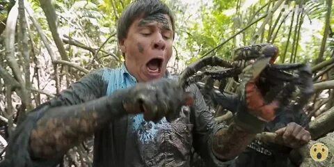 Что случилось с комаровым