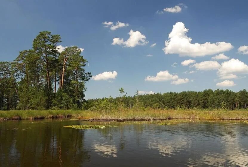 Природно заповедный фонд. Національний природний парк Мале Полісся. Полісся.