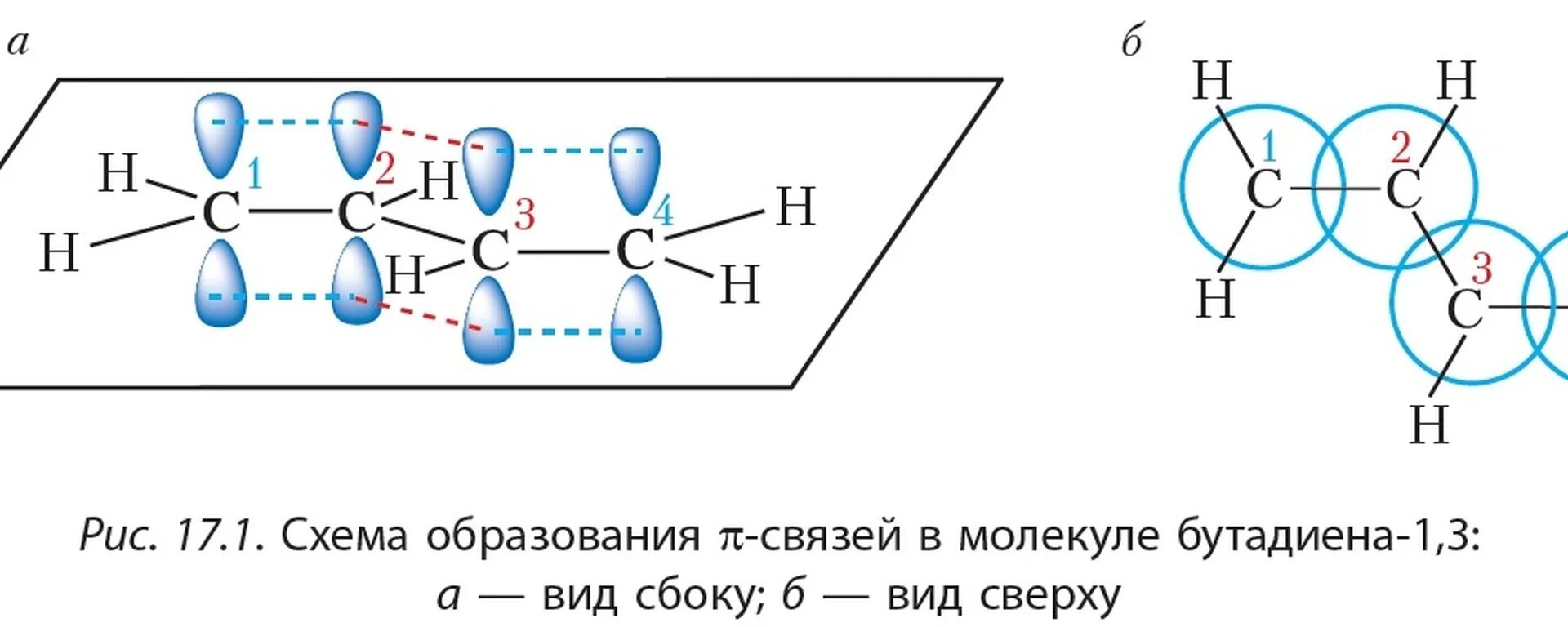 Бутадиен 1 3 связи