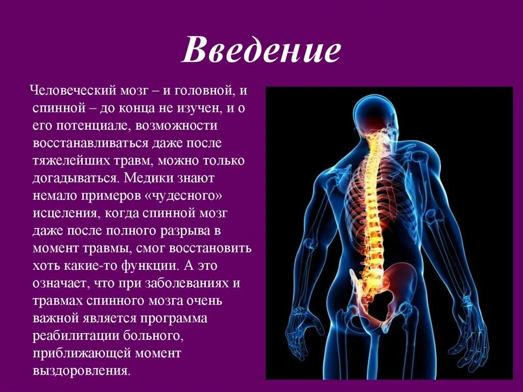 Боль в спинном мозге. Травмы спинного и головного мозга неврология. Травмы спинного мозга ppt. Спинномозговые грыжи неврология. Спинной мозг вывод.