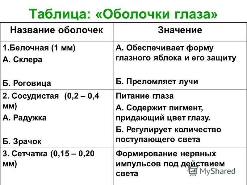 Оболочки глазного яблока таблица. Таблица по оболочкам глаза. Оболочки глазного яблока строение и функции таблица. Оболочки глазного яблока и их функции.