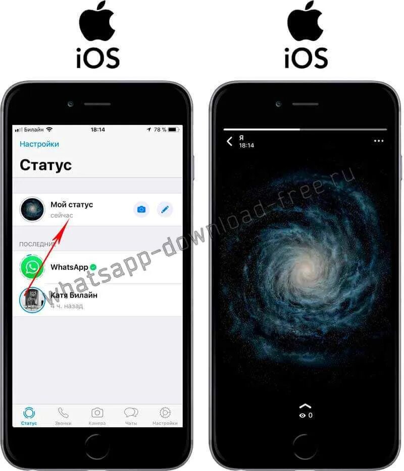 Как убрать статус на айфоне. Статус в ватсап на айфоне. Статусы для WHATSAPP. Как скрыть статус в ватсапе на айфоне.