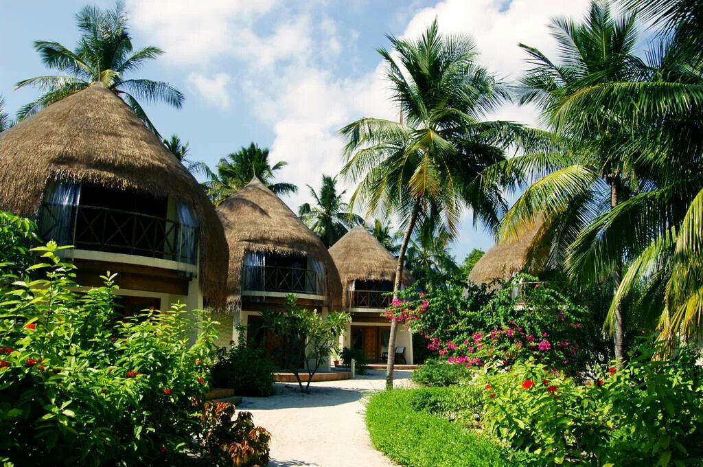 Bandos island resort. Остров Бандос Мальдивы. Bandos Island Resort Spa 4. Отель Bandos Maldives 4. Шри-Ланка остров бунгало.