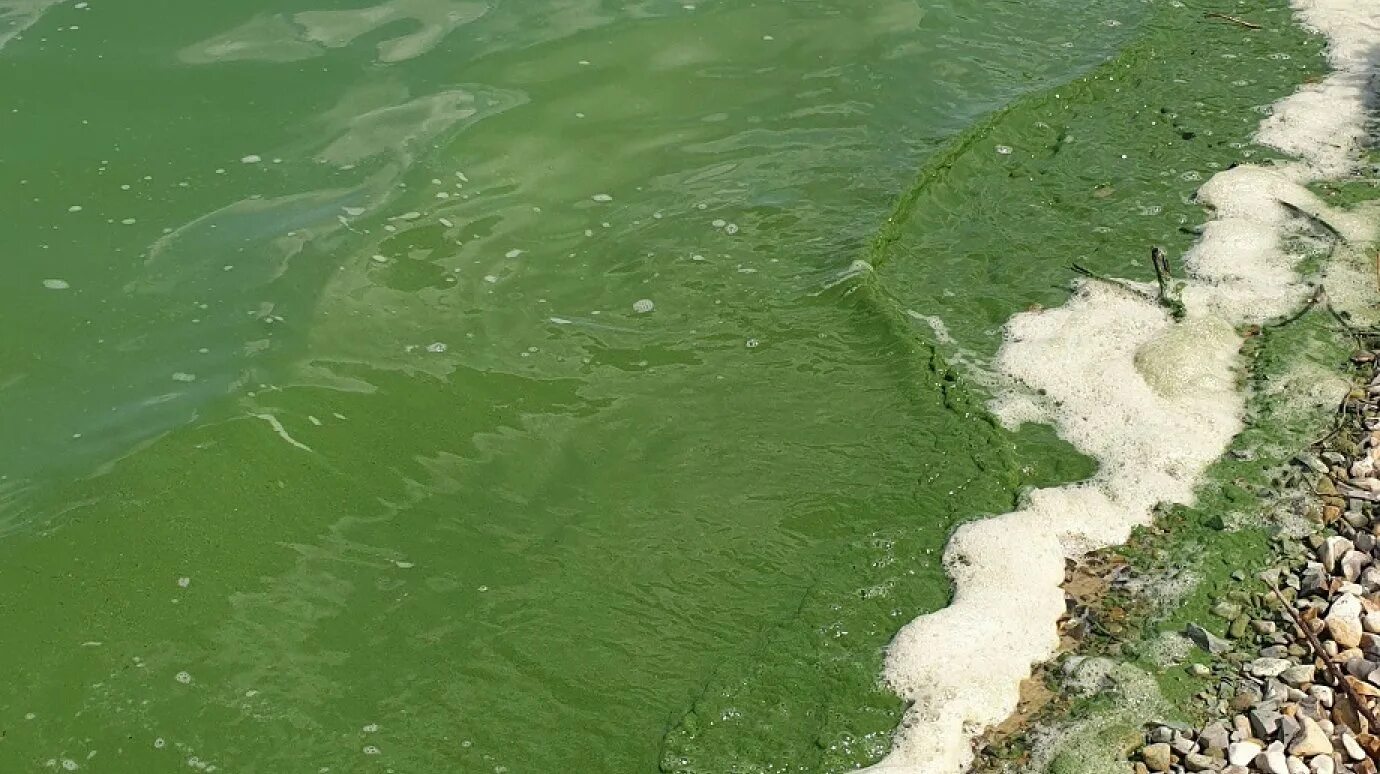 Сброс воды цимлянского. Пензенское водохранилище. Сурское водохранилище в Пензе. Сурское море Пенза. Сурское водохранилище в Пензе пляж.