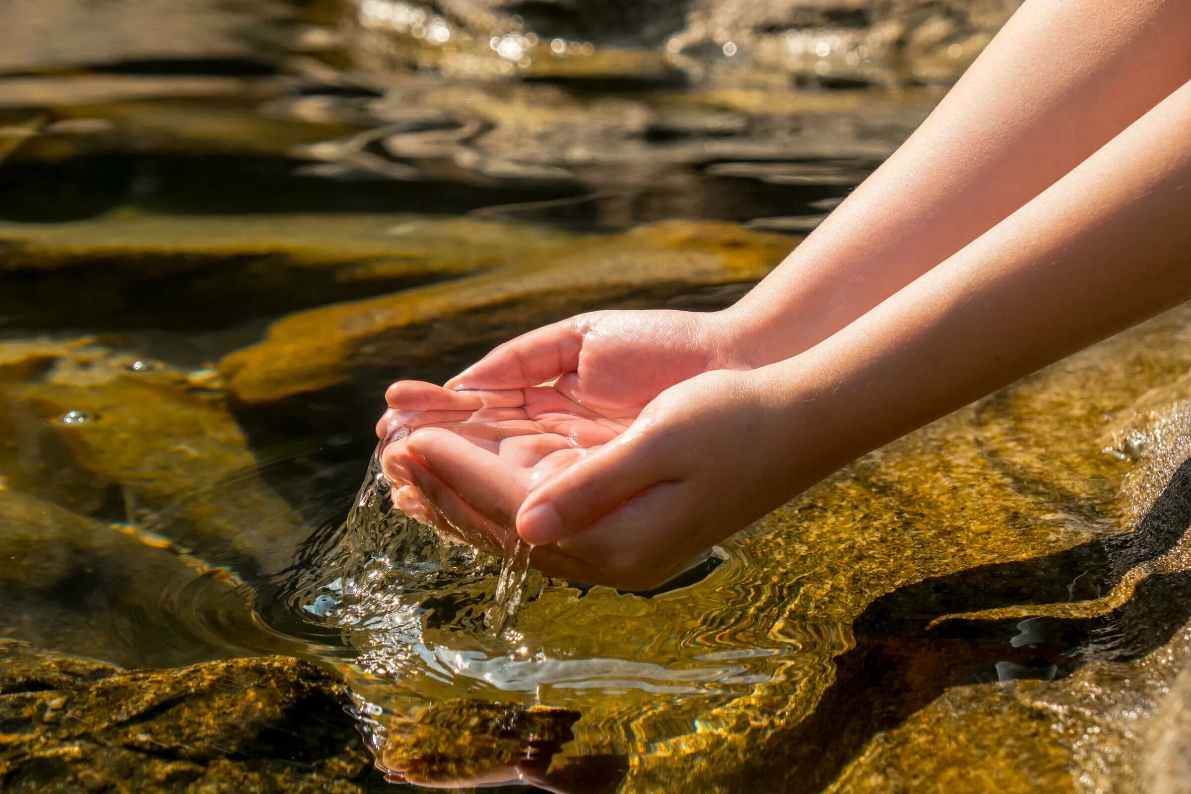 Вода в реках всегда. Человек пьет воду из ручья. Девушка у родника. Человек пьет воду из реки. Черпать воду.