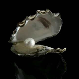Pearl sea shop