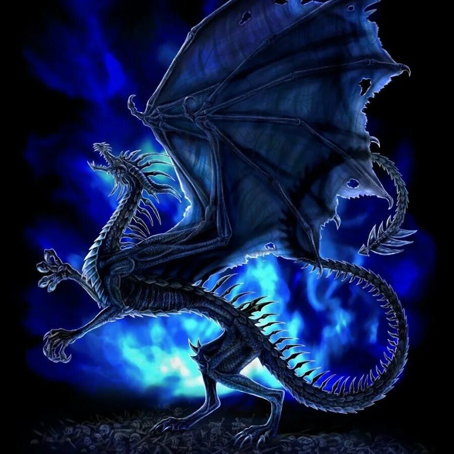Красивые картинки на телефон дракон. Синий дракон. Красивый дракон. Мистические драконы. Дракон с синим пламенем.