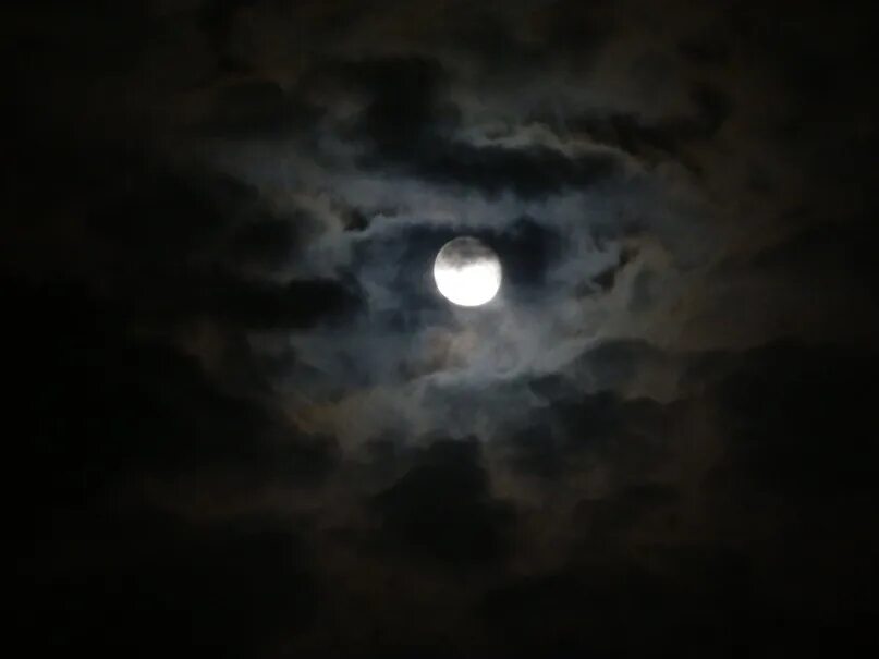 What To Expect During *Every* New Moon of 2024