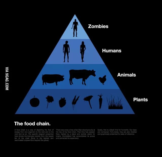 Надпись be original. Humans are not food. I'm human. Humans are not food. Человек на вершине пищевой цепи.