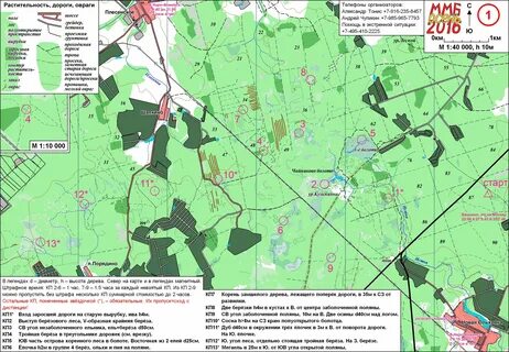 Погода в наро фоминске в ноябре 2024