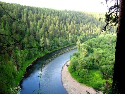 Курганская область урал