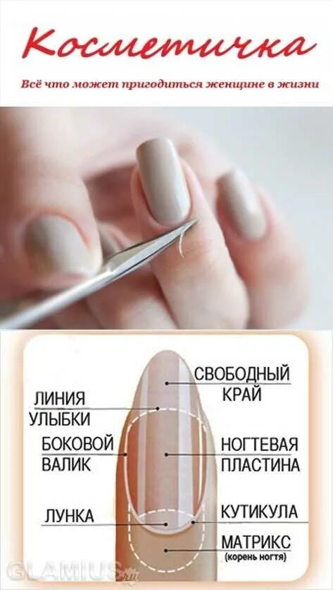 Как удалить кутикулу. Как убрать кутикулу в домашних условиях. как правильно убирать кутикулу. как правильно удалять кутикулу. маникюр убирание кутикулы.