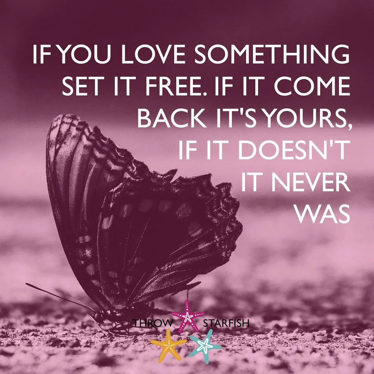 Somebody looking for something. If you love. if you love you. if you love somebody. something lovely.