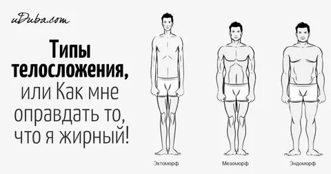Типов а также в разном
