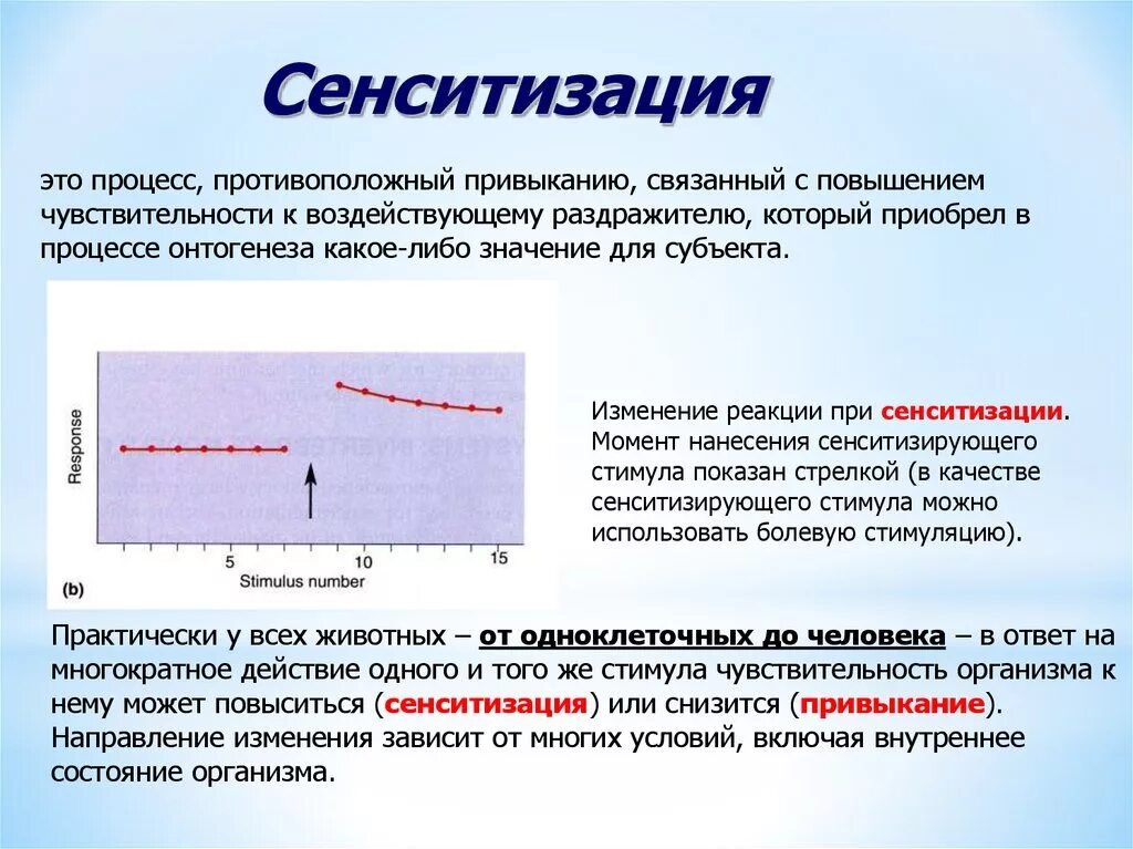 Сенситизация. Сенситизация это физиология. Привыкание физиология. Сенситизация и привыкание процессы. Повышение чувствительности в результате