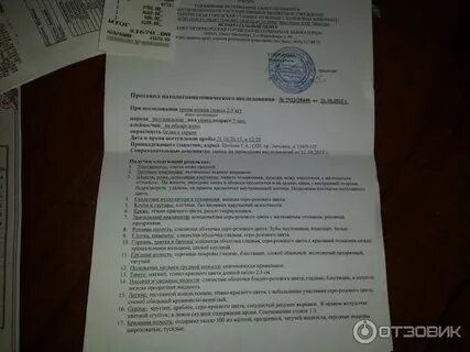 Протокол вскрытия перитонит
