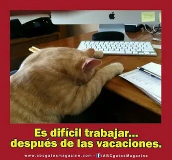 Порно: Орыс папасы ас үйде қызын трахает