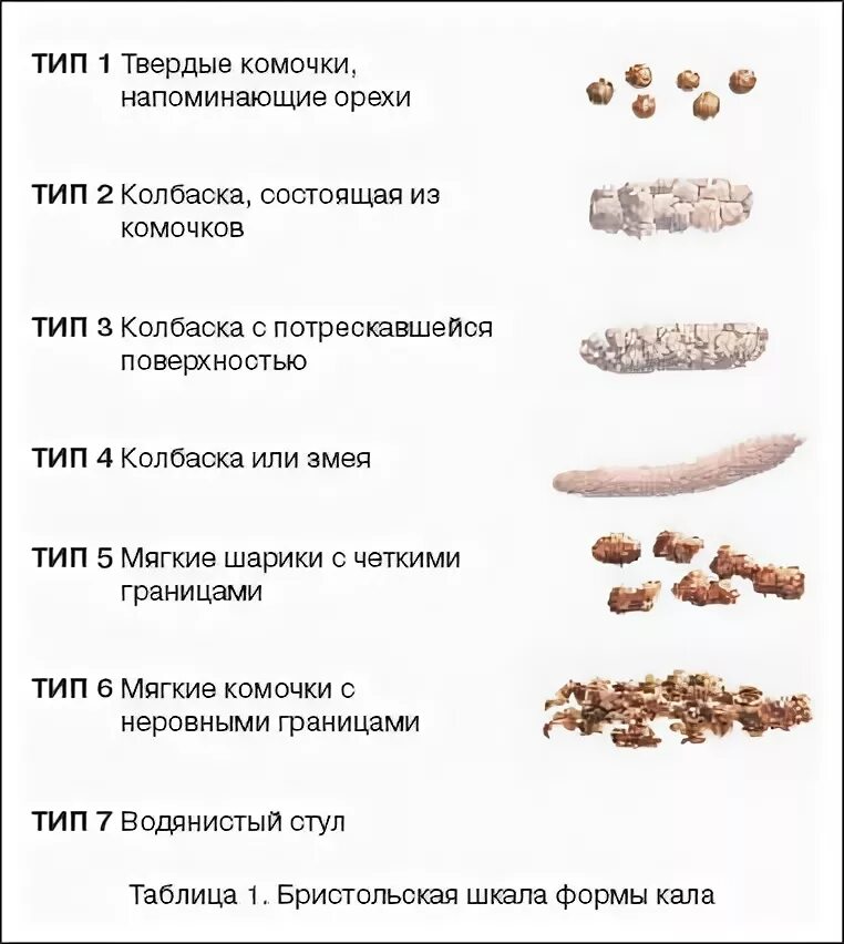 Нормальный вид кала. Нормальный цвет стула у взрослого человека. Нормальный цвет кала. Почему овечий кал