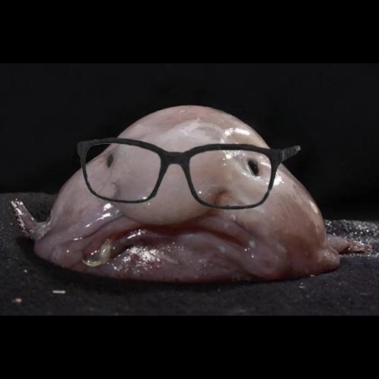 React blob