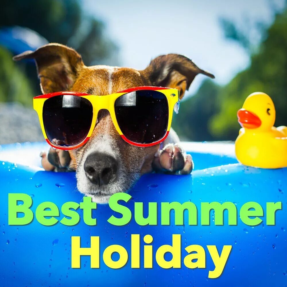 Have a good holiday. Holidays картинки. Happy Summer Holidays. Have good Holidays. Have good Summer Holidays.