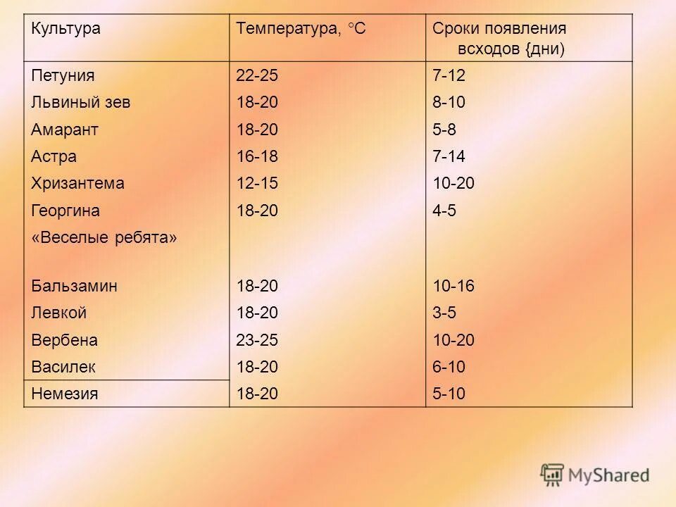 Температура для рассады после всходов. Минимальная температура для петунии. Температура для астр. Минимальная температура для всходов. Температура для рассады петунии.