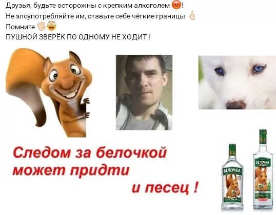 Открытки алкоголикам прикольные. Приколы про белочку после пьянки. Белочка алкогольная. Белка у алкоголиков. Белочка алкогольная прикольные.