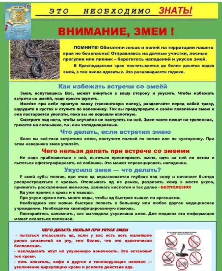 Осторожно змеи памятка для родителей. Укусы змей памятка для родителей. Инструктаж для родителей осторожно змеи. Осторожно змеи памятка для детей.