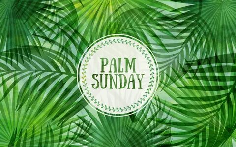 This is sunday