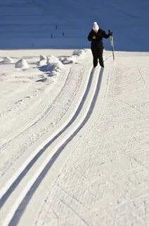 Armstrong ski trac s