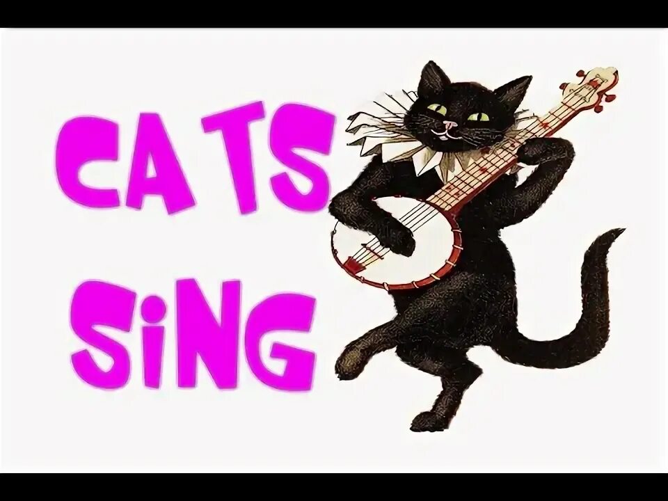 Cats can sing