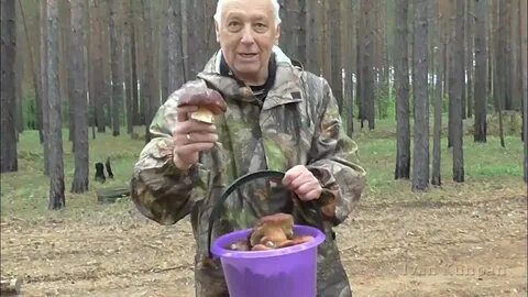 Видео сбор