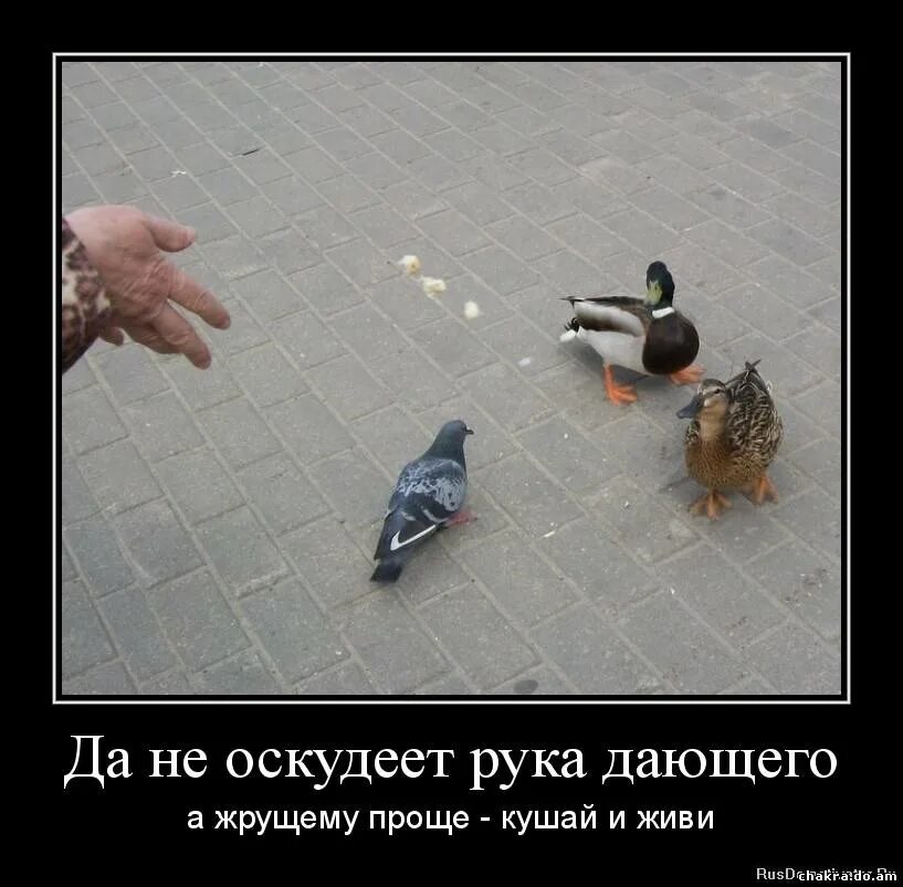 Дающий не оскудевает. Дающий не оскудевает