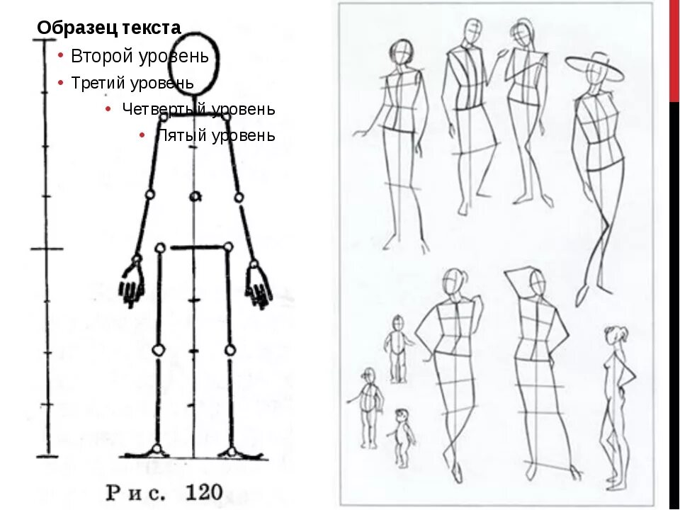 Схема человека. Фигура человека рисунок схематичный. Схематичные фигуры человека в статичном состоянии. Последовательность построения человека. Иллюстрации с изображением фигуры человека.