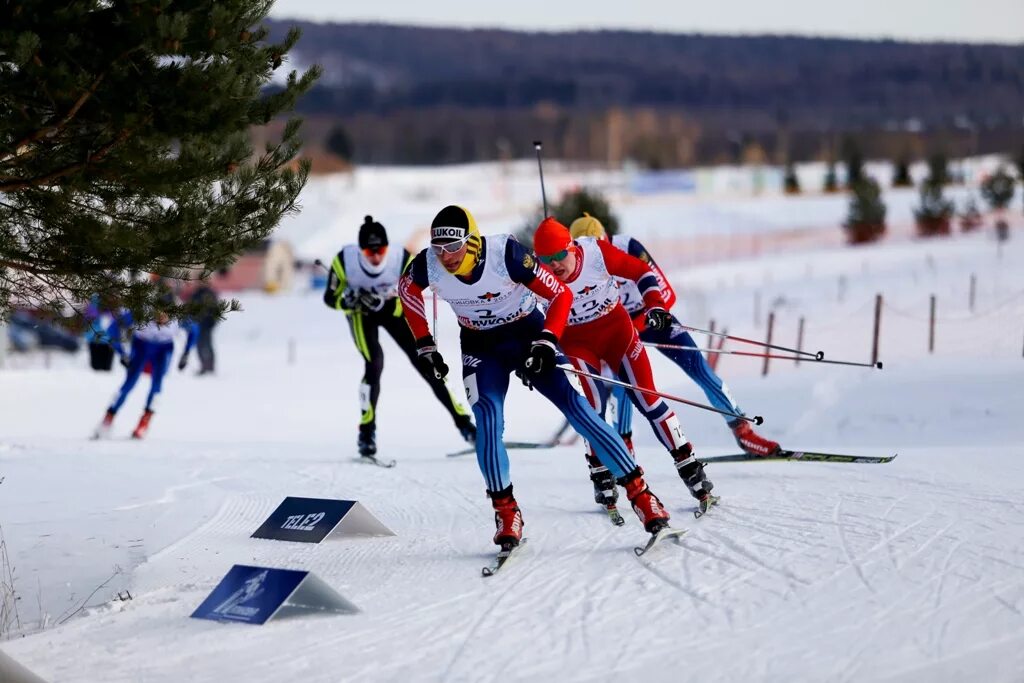 Современный лыжный спорт лыжного спорта. Лыжные гонки. Спорт лыжные гонки. Лыжные соревнования. Лыжи соревнования.