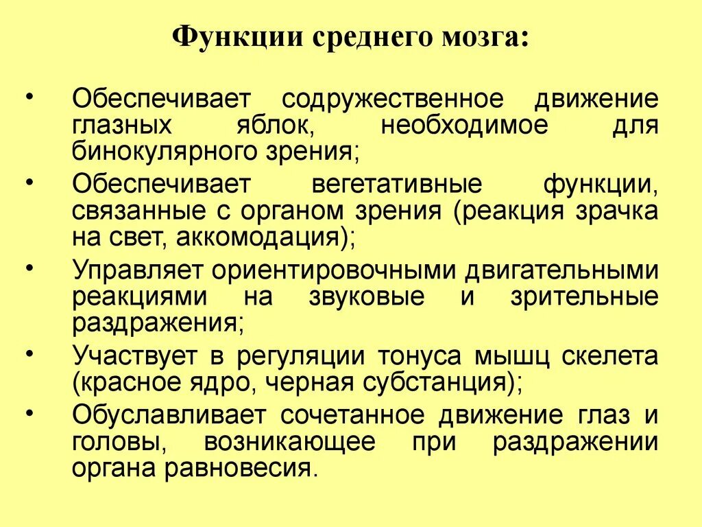 Перечислите функции среднего мозга