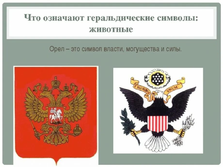 Что означают животные гербов. Геральдические символы. Значение символов на гербе. Животные на гербах и их значение.