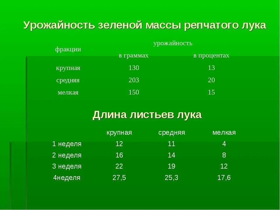 Сколько углеводов в луке. Лук зеленый вес. Урожай зеленой массы.